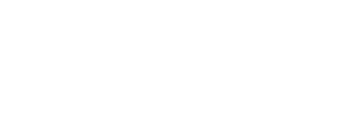 Eleganza