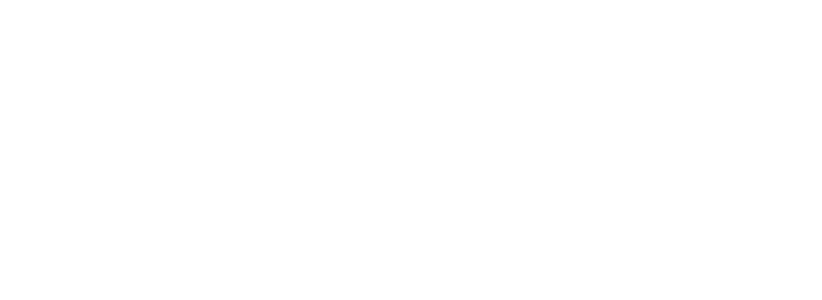 Eleganza
