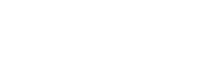 Eleganza
